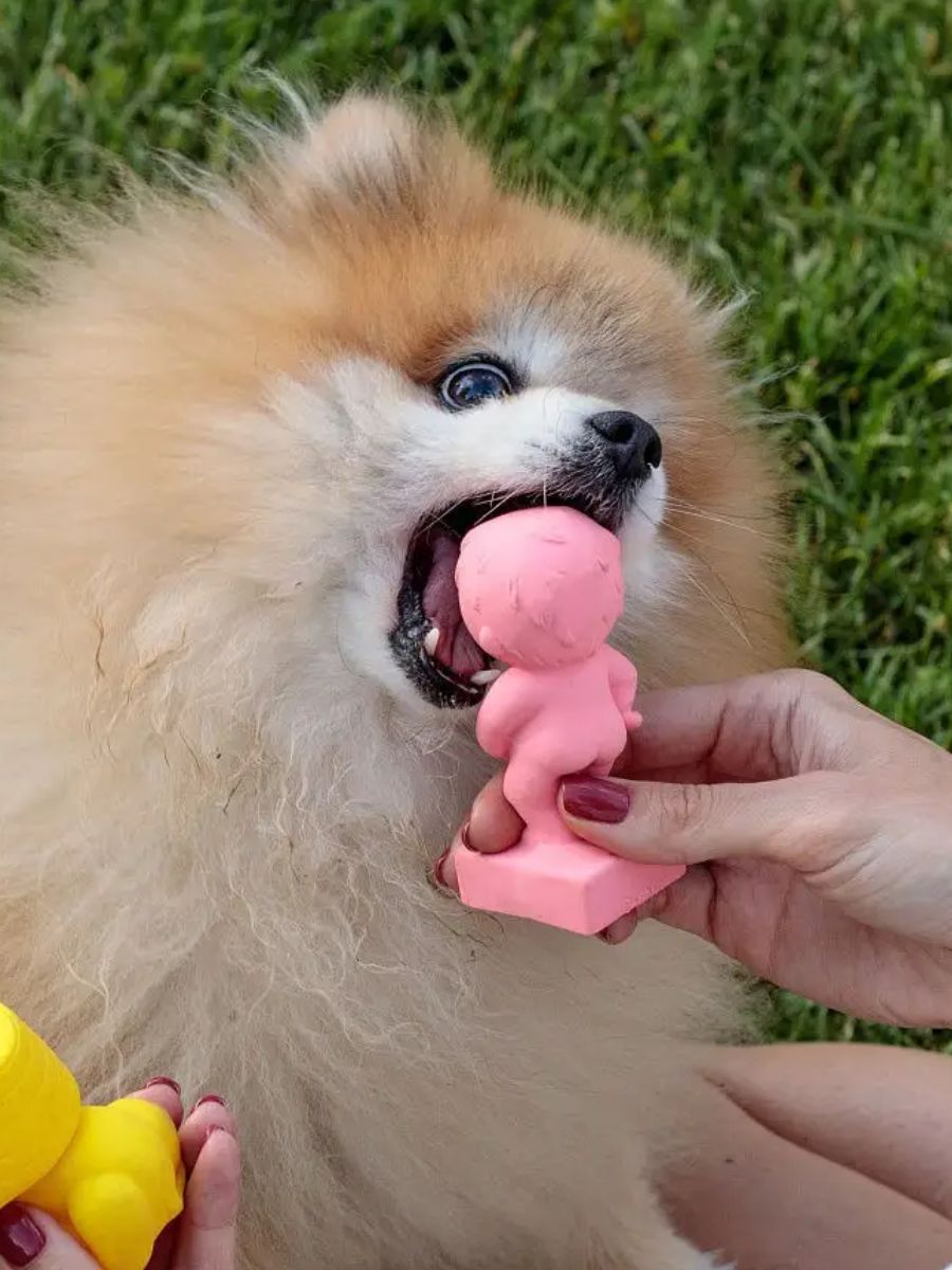 Product DTLT681054 photo 2