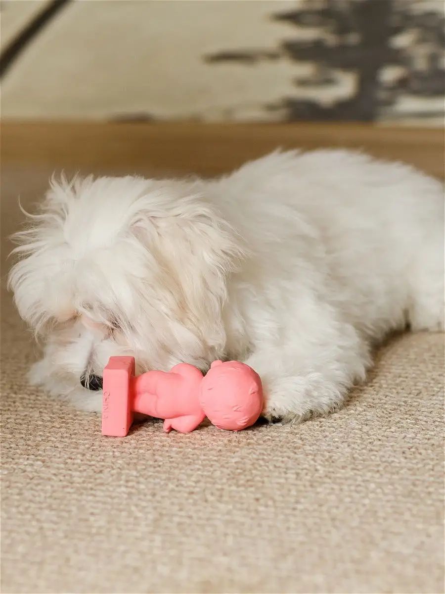 Product DTLT681054 photo 3