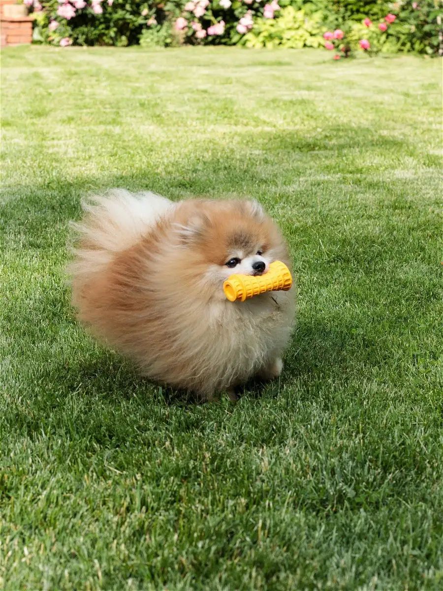 Product DTLT681078 photo 2