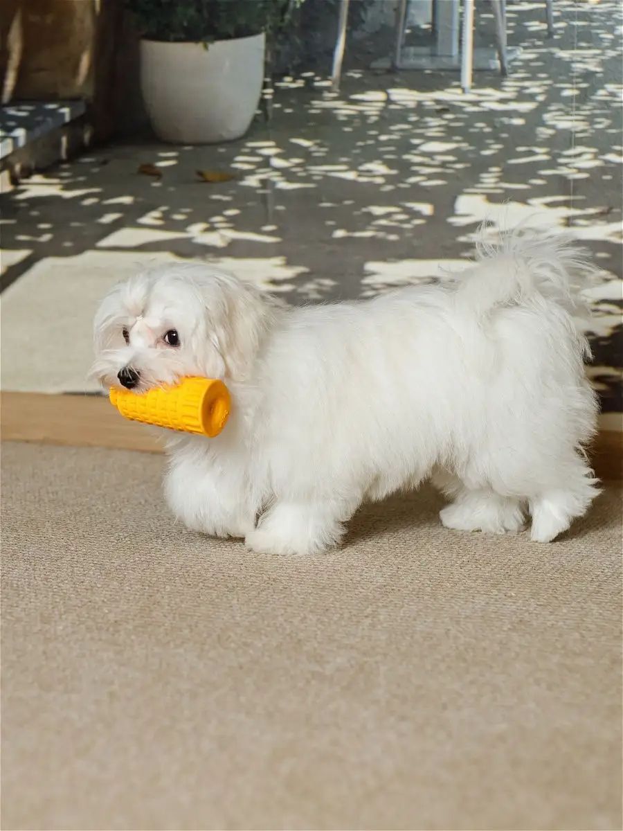 Product DTLT681078 photo 4