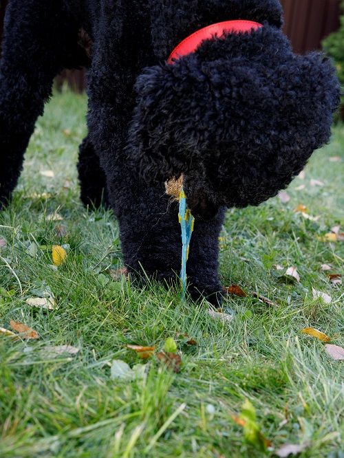 Product DTLT857580 photo 12