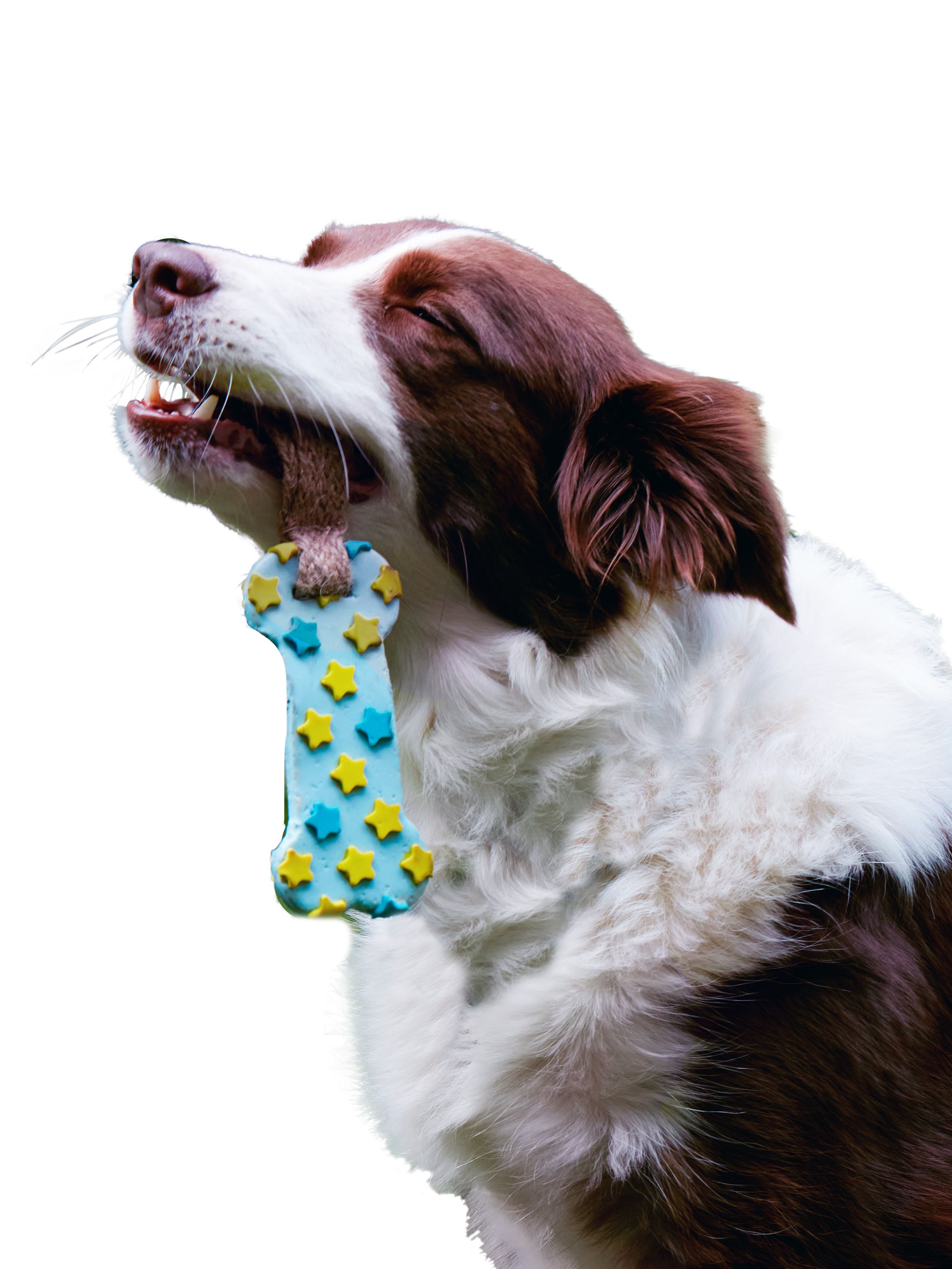 Product DTLT857580 photo 13