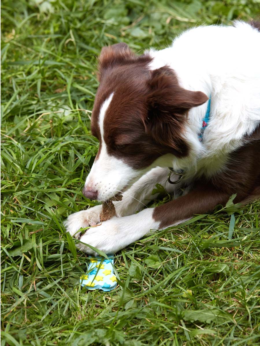 Product DTLT857580 photo 2