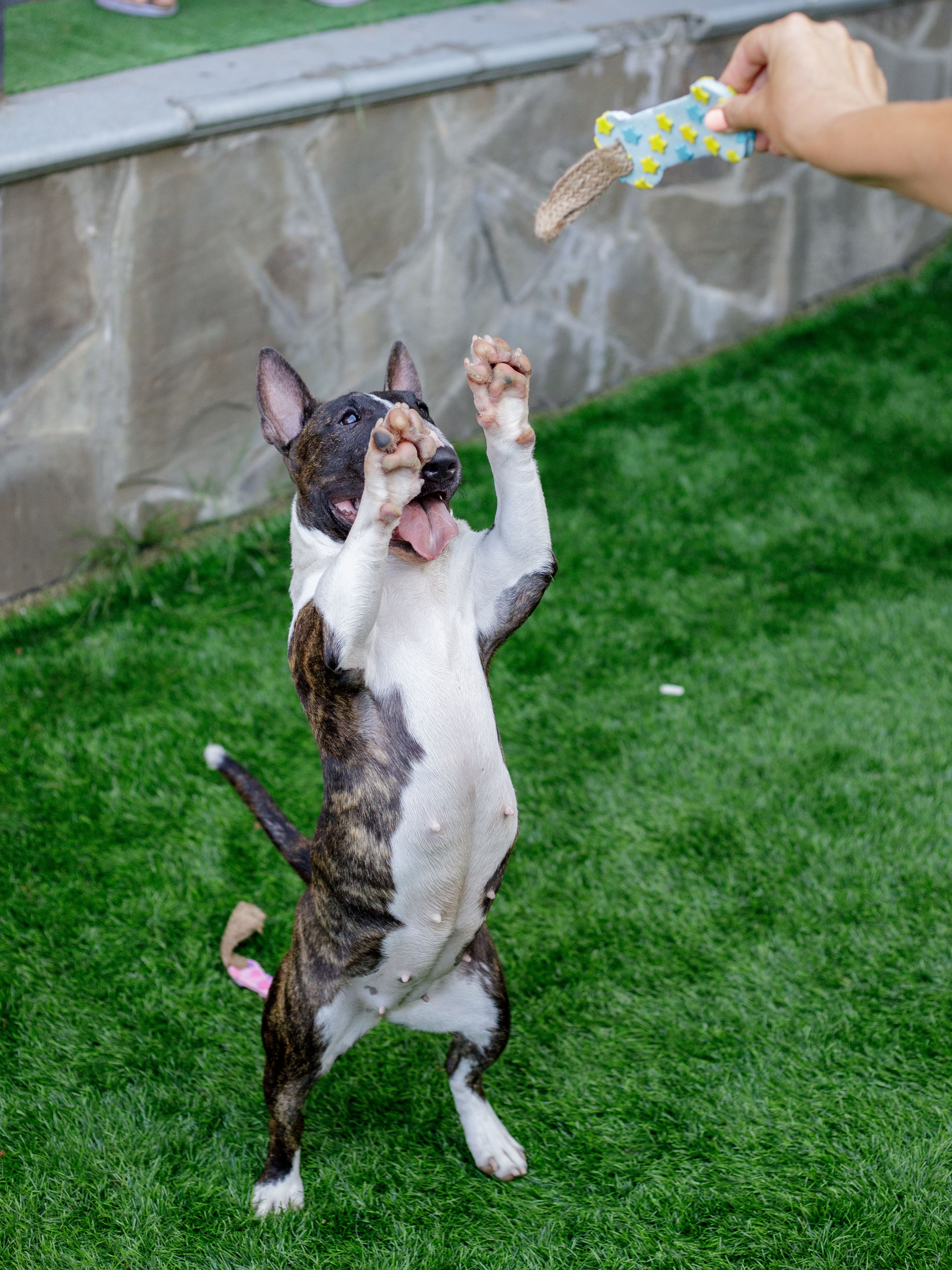 Product DTLT857580 photo 3