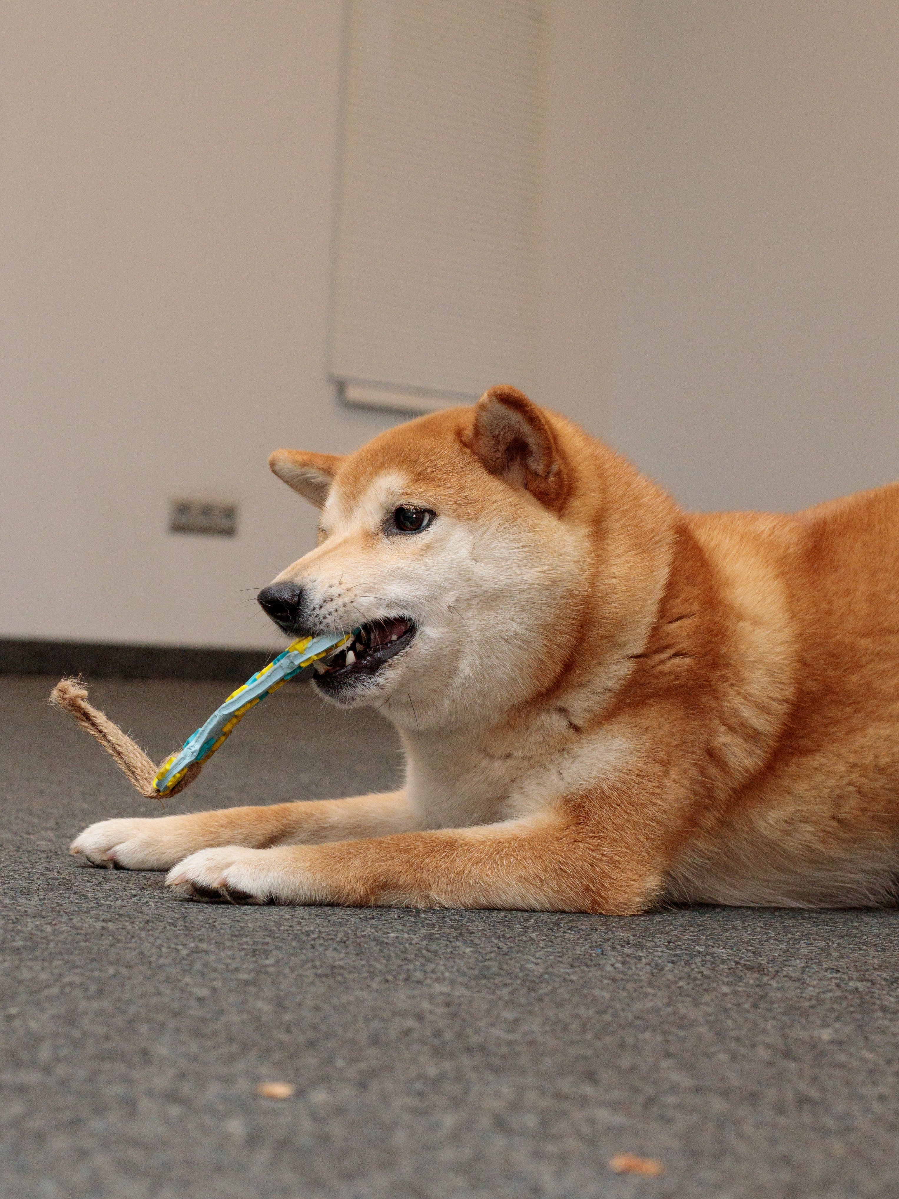 Product DTLT857580 photo 5