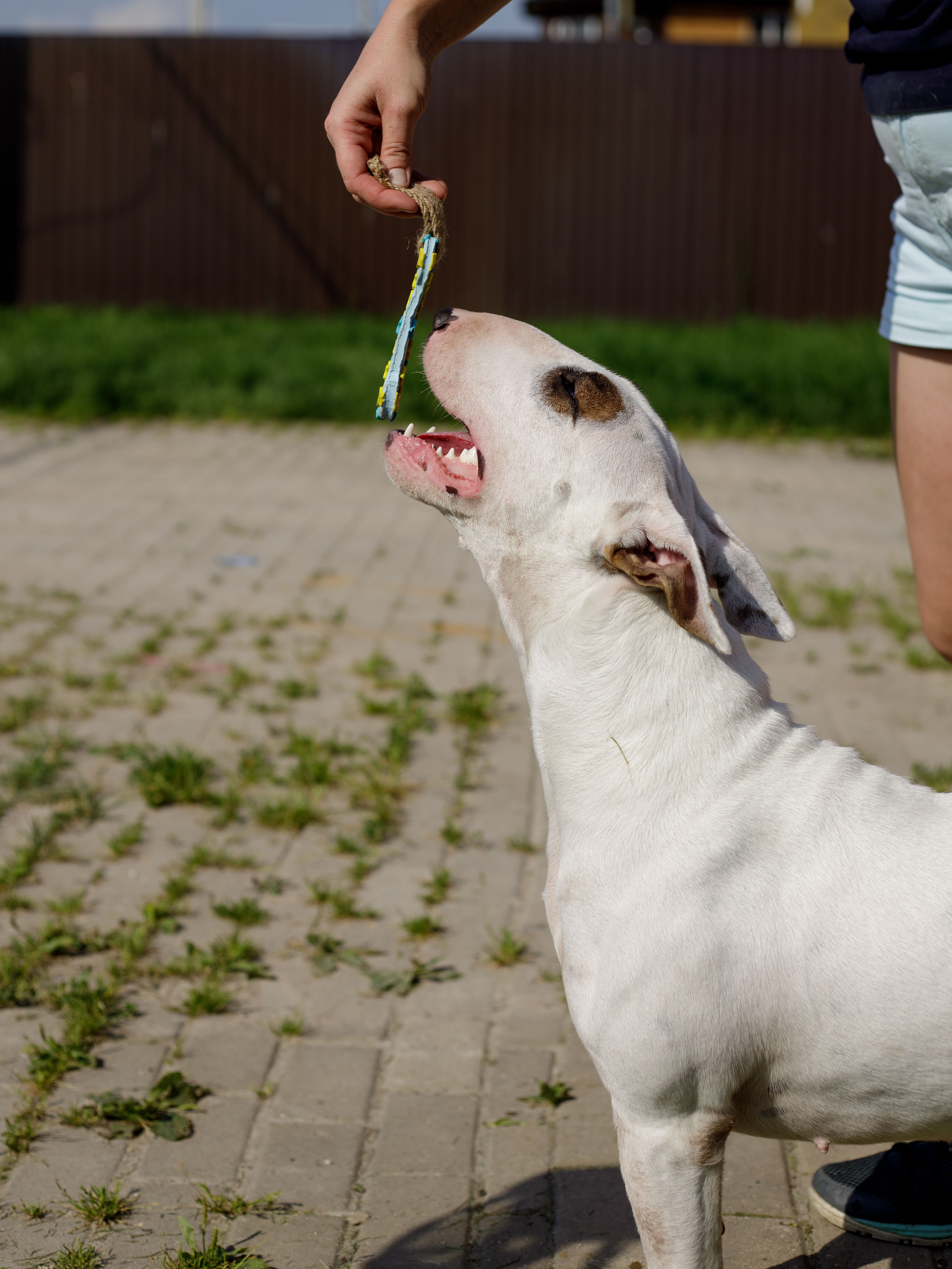 Product DTLT857580 photo 6