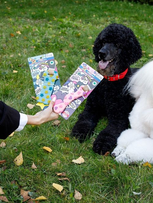 Product DTLT857580 photo 7