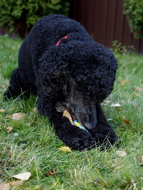 Product DTLT857580 photo 8