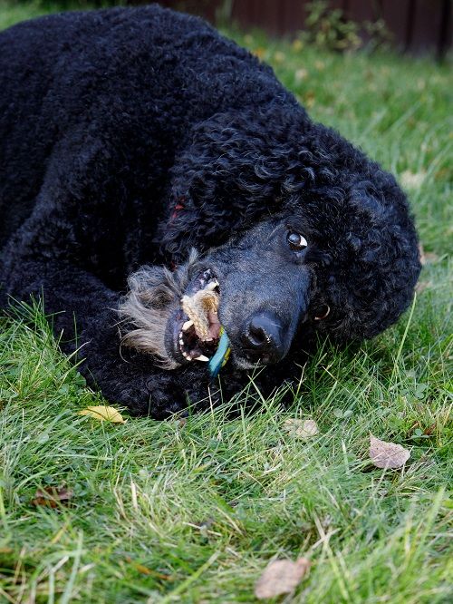 Product DTLT857580 photo 9