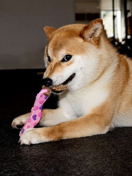 Product DTLT857597 photo 16