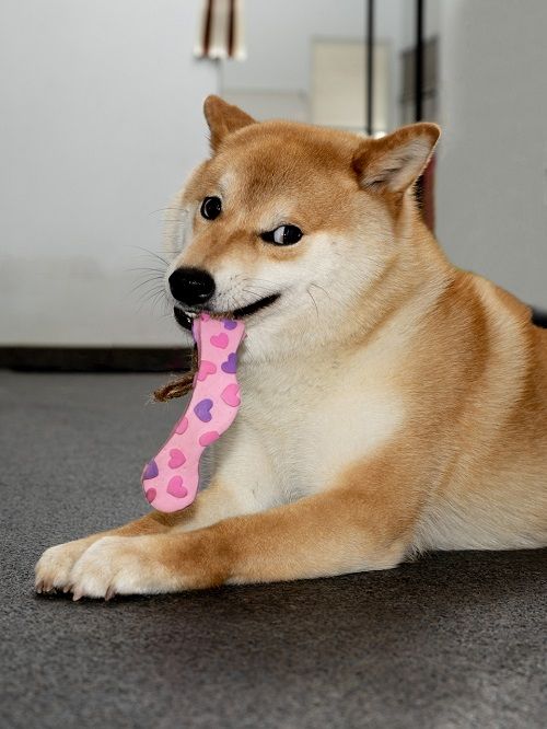 Product DTLT857597 photo 17