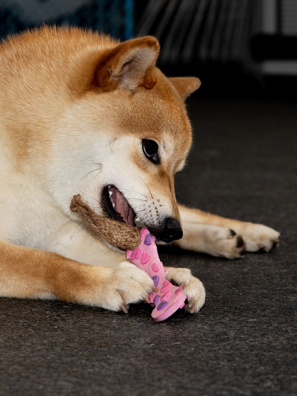 Product DTLT857597 photo 18