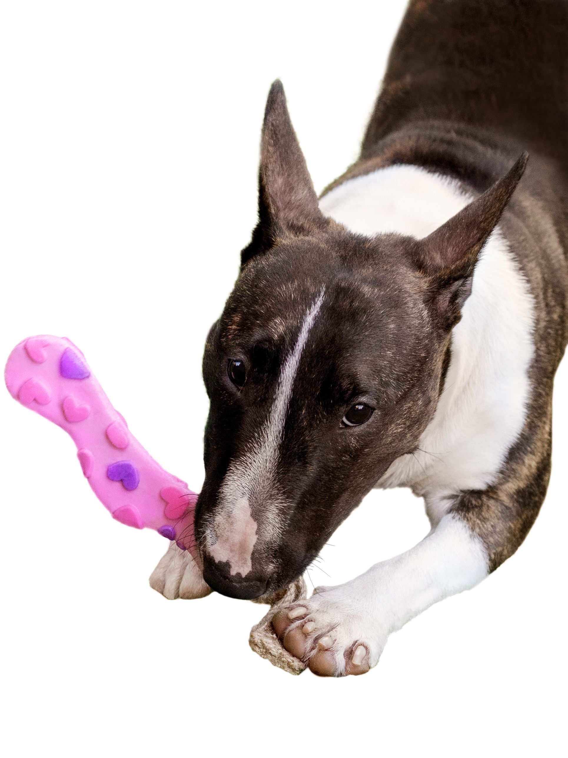 Product DTLT857597 photo 20