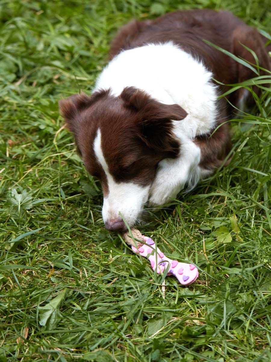 Product DTLT857597 photo 4