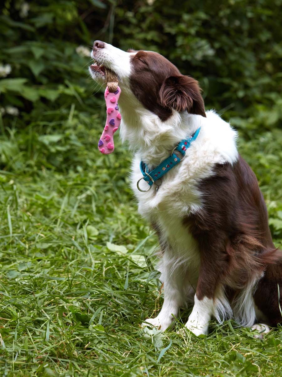 Product DTLT857597 photo 5