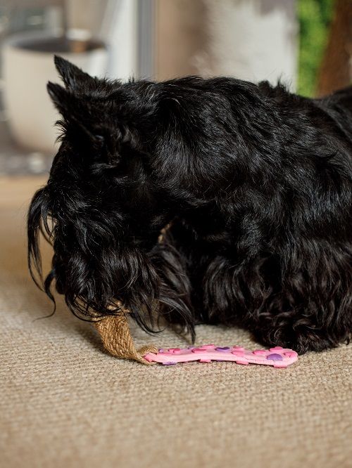 Product DTLT857597 photo 7