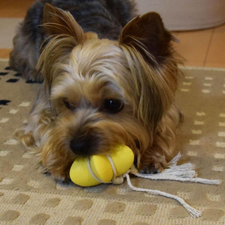 Produkt DTLT858167 Bild 5